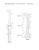 DEVICES AND METHODS FOR TREATING DEFECTS IN THE TISSUE OF A LIVING BEING diagram and image