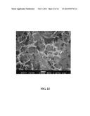 DEVICES AND METHODS FOR TREATING DEFECTS IN THE TISSUE OF A LIVING BEING diagram and image