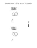 Minimum Bayesian Risk Methods for Automatic Speech Recognition diagram and image