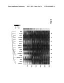 ALZHEIMER S DISEASE SIGNATURE MARKERS AND METHODS OF USE diagram and image