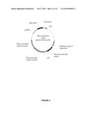 PLANTS HAVING ENHANCED YIELD-RELATED TRAITS AND PRODUCING METHODS THEREOF diagram and image