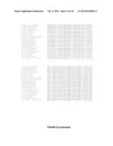 PLANTS HAVING ENHANCED YIELD-RELATED TRAITS AND PRODUCING METHODS THEREOF diagram and image