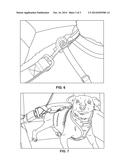 Vehicular dog restraint diagram and image