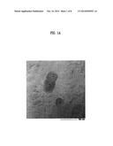 COPPER ALLOY MATERIAL FOR ELECTRICAL AND ELECTRONIC COMPONENTS AND METHOD     OF PREPARING THE SAME diagram and image