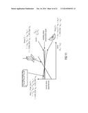 VERTICAL HALL SENSOR CIRCUIT COMPRISING STRESS COMPENSATION CIRCUIT diagram and image