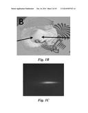 All-Nanoparticle Concave Diffraction Grating Fabricated by Self-Assembly     onto Magnetically-Recorded Templates diagram and image