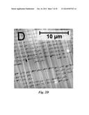 All-Nanoparticle Concave Diffraction Grating Fabricated by Self-Assembly     onto Magnetically-Recorded Templates diagram and image