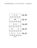 All-Nanoparticle Concave Diffraction Grating Fabricated by Self-Assembly     onto Magnetically-Recorded Templates diagram and image