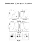 LIGHT SOURCE ALIGNMENT FOR HEAT ASSISTED MAGNETIC RECORDING diagram and image