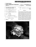 IMAGE PROCESSING APPARATUS AND IMAGE PROCESSING METHOD diagram and image