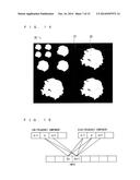 IMAGE PROCESSING APPARATUS AND IMAGE PROCESSING METHOD diagram and image