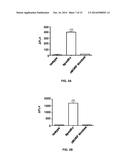 Targeted Self-Assembly of Functionalized Carbon Nanotubes on Tumors diagram and image