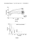 Targeted Self-Assembly of Functionalized Carbon Nanotubes on Tumors diagram and image