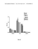 Targeted Self-Assembly of Functionalized Carbon Nanotubes on Tumors diagram and image