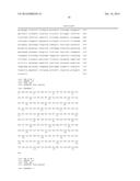 CELL PREPARATIONS DEPLETED OF TCR ALPHA/BETA diagram and image