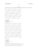 VEGF Analogs and Methods of Use diagram and image