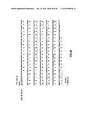 ANTI-OX40 ANTIBODIES AND METHODS OF USING THE SAME diagram and image