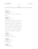 PHARMACEUTICAL COMPOSITION FOR TREATMENT AND/OR PREVENTION OF PANCREATIC     CANCER diagram and image