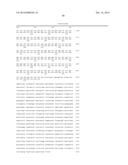 PHARMACEUTICAL COMPOSITION FOR TREATMENT AND/OR PREVENTION OF PANCREATIC     CANCER diagram and image