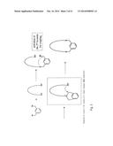 METHOD FOR SELECTING A CANDIDATE DRUG COMPOUND diagram and image