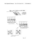 METHOD FOR SELECTING A CANDIDATE DRUG COMPOUND diagram and image