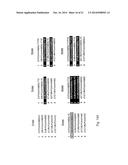 METHOD FOR SELECTING A CANDIDATE DRUG COMPOUND diagram and image