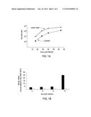 Influenza A Virus Vaccines and Inhibitors diagram and image