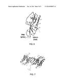 Influenza A Virus Vaccines and Inhibitors diagram and image