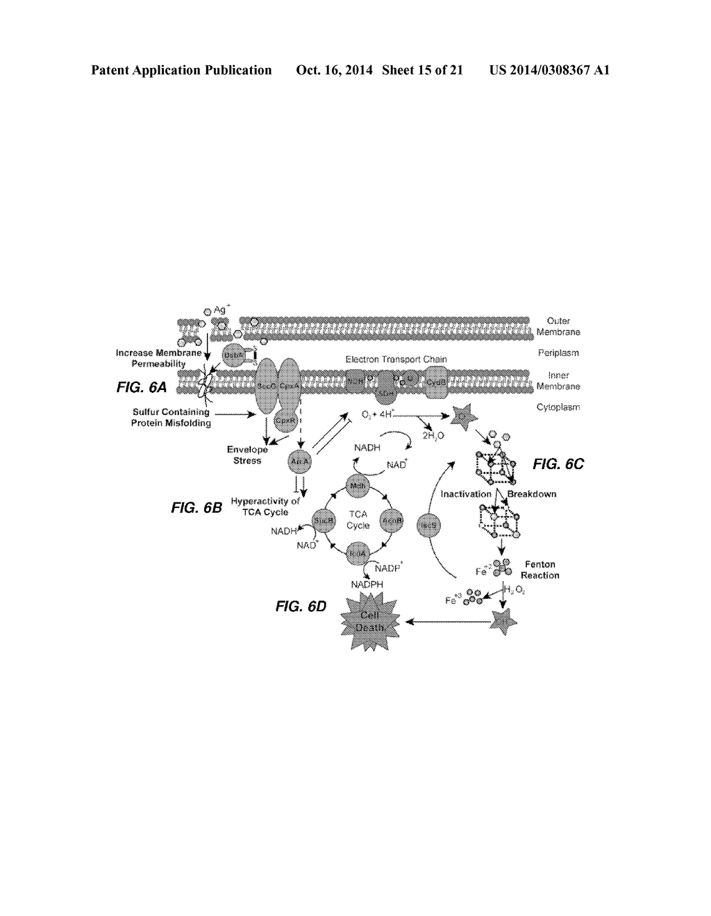 METHODS OF TREATING GRAM-NEGATIVE MICROBIAL INFECTIONS - diagram, schematic, and image 16