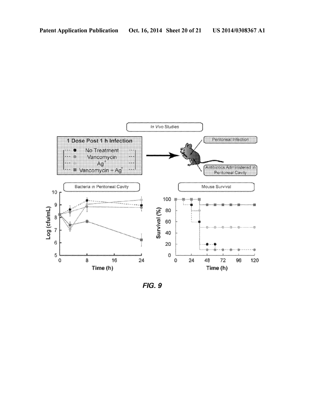 METHODS OF TREATING GRAM-NEGATIVE MICROBIAL INFECTIONS - diagram, schematic, and image 21