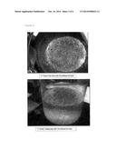 DRIED PULP PREPARATION FROM UNPROCESSED RAW MATERIALS diagram and image