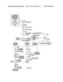 COCOA BEAN PROCESSING METHODS AND TECHNIQUES diagram and image