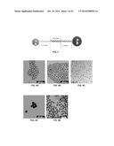 Methods for the Bio-programmable Crystallization of Multi-component     Functional Nanoparticle Systems diagram and image