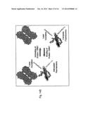 SENSORS EMPLOYING SINGLE-WALLED CARBON NANOTUBES diagram and image