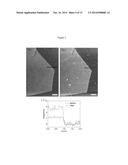 GRAPHENE-BIOMOLECULE BIOELECTRONIC DEVICES diagram and image