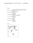 ANTIBODY CAPABLE OF BINDING TO SPECIFIC REGION OF PERIOSTIN, AND METHOD     FOR MEASURING PERIOSTIN USING SAME diagram and image