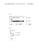 ANTIBODY CAPABLE OF BINDING TO SPECIFIC REGION OF PERIOSTIN, AND METHOD     FOR MEASURING PERIOSTIN USING SAME diagram and image