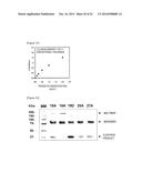 ANTIBODY CAPABLE OF BINDING TO SPECIFIC REGION OF PERIOSTIN, AND METHOD     FOR MEASURING PERIOSTIN USING SAME diagram and image