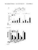 BIOMARKER FOR ABDOMINAL AORTIC ANEURYSM diagram and image