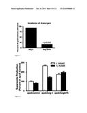 BIOMARKER FOR ABDOMINAL AORTIC ANEURYSM diagram and image