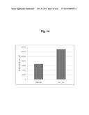 ADENOVIRUS PRODUCING NOVEL CELL LINE AND THE USE THEREOF diagram and image