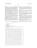 ADENOVIRUS PRODUCING NOVEL CELL LINE AND THE USE THEREOF diagram and image