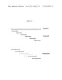 PEG-MEDIATED ASSEMBLY OF NUCLEIC ACID MOLECULES diagram and image