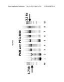 PEG-MEDIATED ASSEMBLY OF NUCLEIC ACID MOLECULES diagram and image