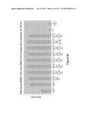 Yeast Expressing Saccharolytic Enzymes for Consolidated Bioprocessing     Using Starch and Cellulose diagram and image