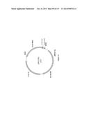 Yeast Expressing Saccharolytic Enzymes for Consolidated Bioprocessing     Using Starch and Cellulose diagram and image