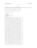 INCREASED PRODUCTION OF ISOBUTANOL IN YEAST WITH REDUCED MITOCHONDRIAL     AMINO ACID BIOSYNTHESIS diagram and image