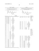 HERBICIDALLY ACTIVE OXIME-ETHER-SUBSTITUTED BENZOYLAMIDES diagram and image