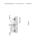 NANOPORE SEQUENCING USING CHARGE BLOCKADE LABELS diagram and image