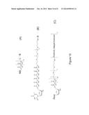 NANOPORE SEQUENCING USING CHARGE BLOCKADE LABELS diagram and image